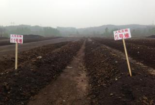 微生物肥料 綠色農(nóng)業(yè)的新引擎，生物質(zhì)能技術服務的市場價值